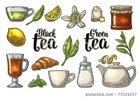 Set tea with lettering. Vector vintage engraving Set tea with lettering. Vector vintage engraving 73529257