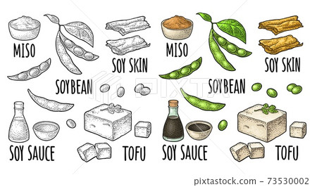 Soy food set. Miso, tofu skin, soybean, sauce 73530002