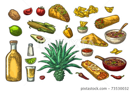 Mexican traditional food and drink set. Tequila, Guacamole, Burrito, Tacos Mexican traditional food and drink set. Tequila, Guacamole, Burrito, Tacos 73530032