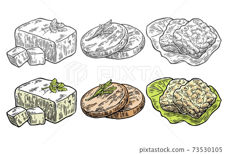 Set Vegan and Vegetarian food. Tofu, Seitan, Tempeh Set Vegan and Vegetarian food. Tofu, Seitan, Tempeh 73530105