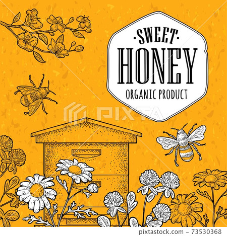 Square poster honey. Vector vintage color engraving 73530368