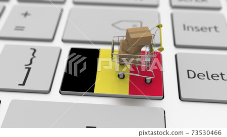 Key with flag of Belgium and shopping cart with boxes, internet business related 3d rendering 73530466