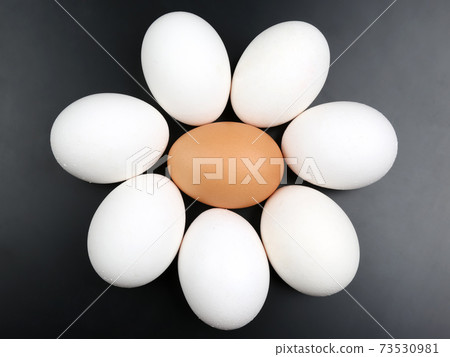 chicken eggs on dark background 73530981