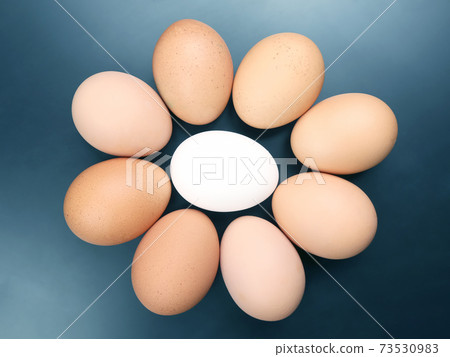 different chicken eggs lie on dark background 73530983