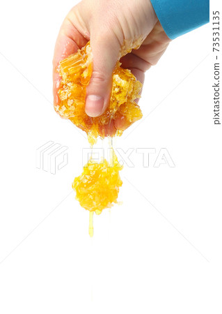 honey comb dripping with human hands on white background 73531135