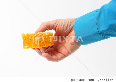 honey comb in the hand on white background 73531136