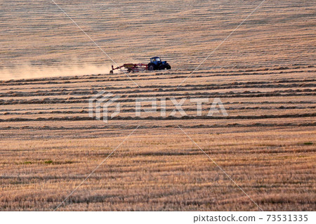 tractor plowing the field after harvest tractor plowing the field after harvest 73531335