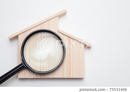 Housing survey diagnostic image 73531406
