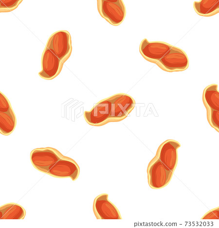 Illustration on theme big pattern identical types peanut Illustration on theme big pattern identical types peanut 73532033