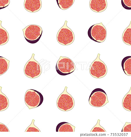 Illustration on theme big colored seamless purple fig Illustration on theme big colored seamless purple fig 73532037