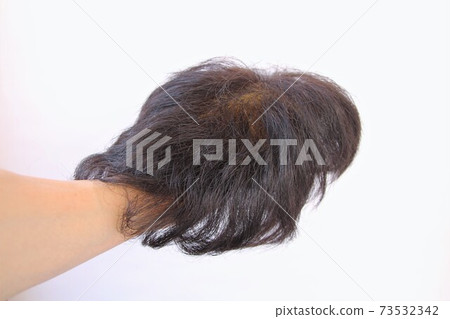 wig wig 73532342