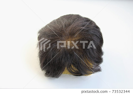 wig 73532344