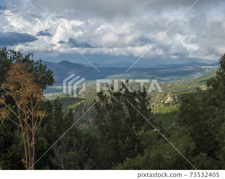 Aerial View of green forest landscape of Supramonte Mountains with limestone rock and mediterranean vegetation, Region Nuoro, Sardinia, Italy. Summer cloudy day Aerial View of green forest landscape of Supramonte Mountains with limestone rock and mediterranean vegetation, Region Nuoro, Sardinia, Italy. Summer cloudy day 73532405