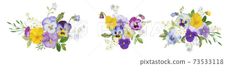 Watercolor pansy flowers bouquet collection. Vector viola spring floral set illustration. Summer bloom 73533118