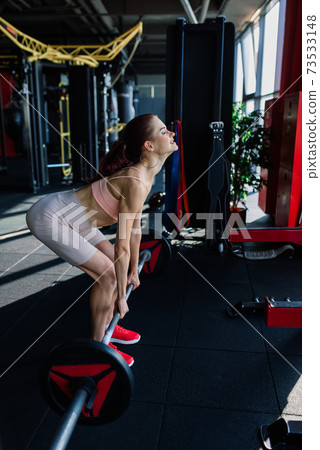 Athletic girl in sportswear performs exercises with barbell, dumbbells. Fitness, healthy lifestyle 73533148