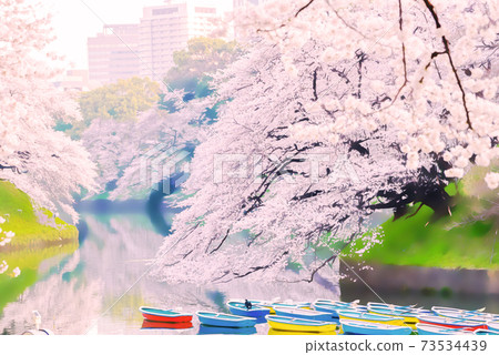 Anime style of cherry blossoms in full bloom and boat Anime style of cherry blossoms in full bloom and boat 73534439
