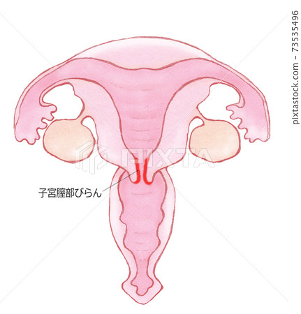 子宮陰道biran的名字 子宮陰道biran的名字 73535496
