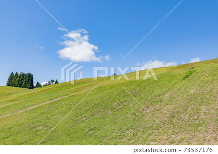 Shiga Prefecture Hakodateyama Ski Resort Shiga Prefecture Hakodateyama Ski Resort 73537176