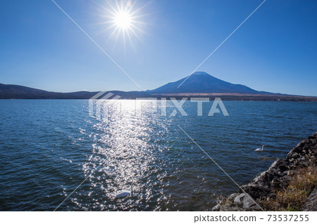 Mount Fuji from Yamanakako 73537255