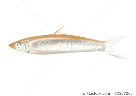 Wakasagi Wakasagi 73537263