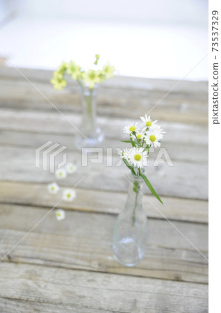 小瓶裡的花 照片素材 圖片 圖庫