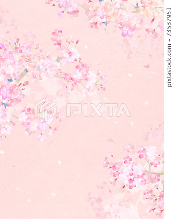 Cherry blossom background-there are multiple variations Cherry blossom background-there are multiple variations 73537951