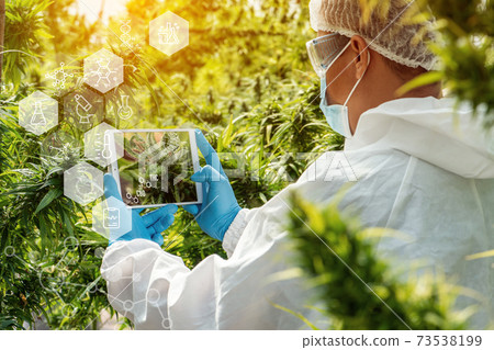 Portrait of scientist with mask ,  73538199