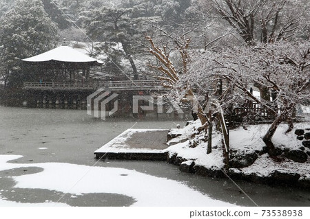 在奈良公園的雪景 73538938