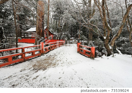 在奈良公園的雪景 在奈良公園的雪景 73539024