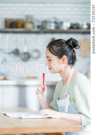 Household account book 73539197