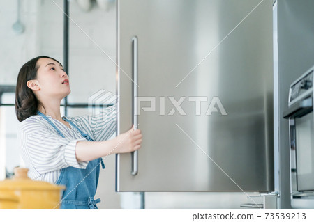 Refrigerator and housewife Refrigerator and housewife 73539213