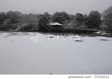 Snow scene in Nara Park Snow scene in Nara Park 73539312