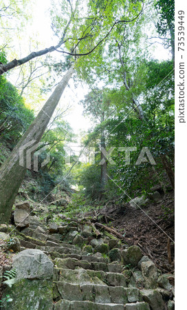 Autumn scenery, autumn leaves, mountain scenery 73539449