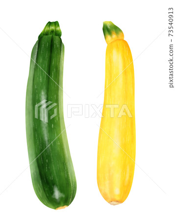 水彩插圖西葫蘆 73540913