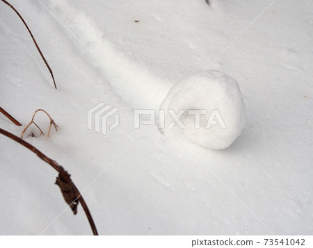 Snow-rolling phenomenon (snow roll) Snow-rolling phenomenon (snow roll) 73541042