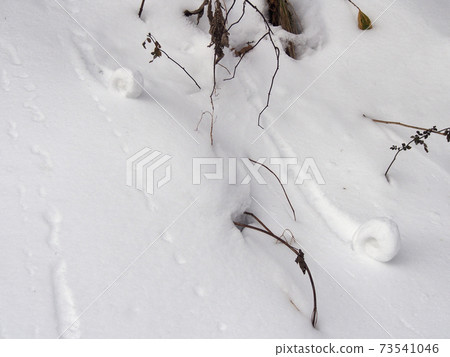 Snow-rolling phenomenon (snow roll) Snow-rolling phenomenon (snow roll) 73541046
