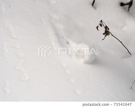 Snow-rolling phenomenon (snow roll) Snow-rolling phenomenon (snow roll) 73541047