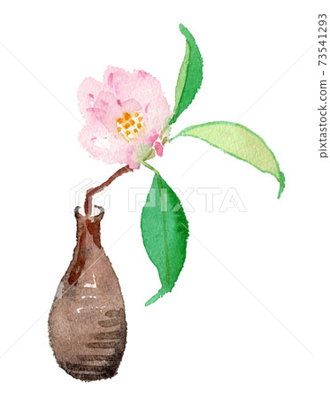 山茶花花和單花的水彩插圖 73541293