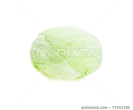 cabbage isolated on white background. cabbage isolated on white background. 73541390