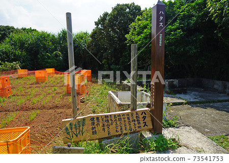 Kudakajima, Okinawa Kudakajima, Okinawa 73541753