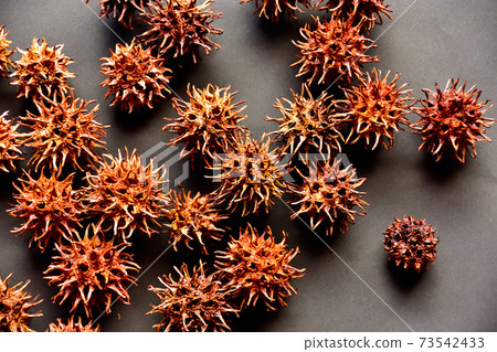New corona variant virus image New corona variant virus image 73542433