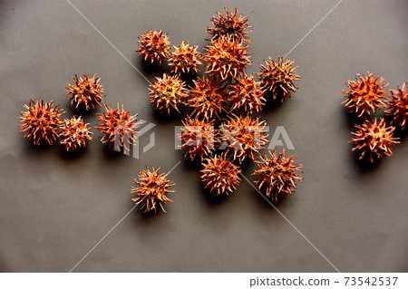 New corona variant virus image 73542537