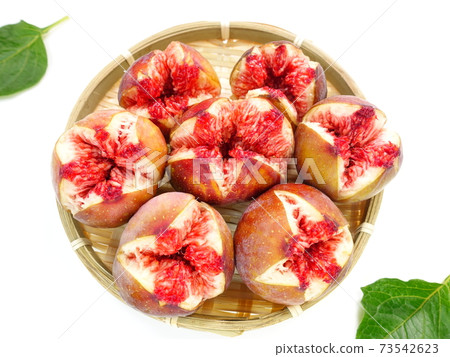 Fig fig 73542623