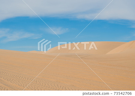 Yellow sand in the desert, Vietnam Yellow sand in the desert, Vietnam 73542706