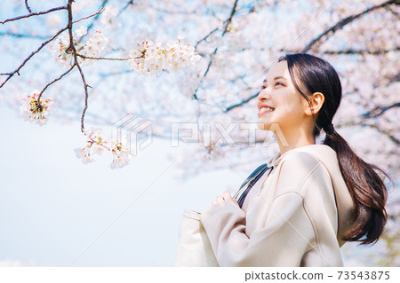 Cherry blossoms and a young woman 73543875