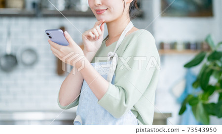 丈夫和家庭主婦 73543950