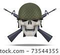 Skull with rifles USA label 73544355
