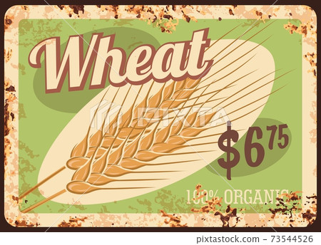 Wheat metal rusty plate, cereals and grain food 73544526