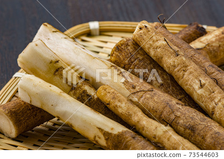 Delicious burdock 73544603