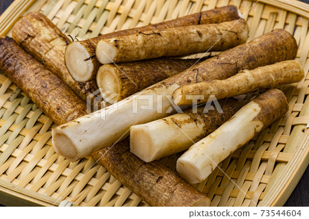 Delicious burdock Delicious burdock 73544604